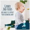 Gerber Gerber 2nd Foods Apple Cherry Baby Food 4 oz., PK16 00015000076665